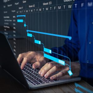 BBA In Project Management